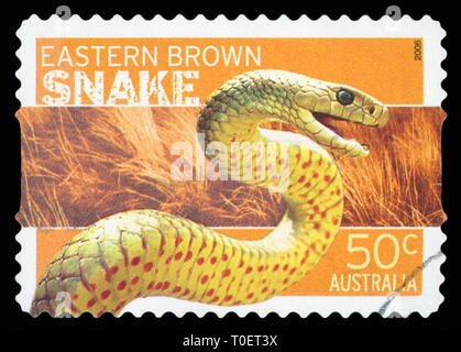 Australien - ca. 2006: einen Stempel in Australien gedruckten zeigt die Eastern Brown Snake, Serie, ca. 2006. Stockfoto