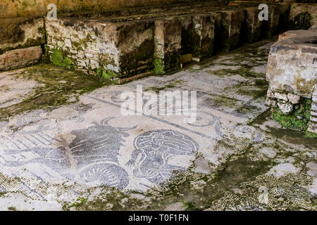 Mosaiken in der Villa Romana, eine alte römische archäologische Stätte im Dorf von Minori, Italien an der Amalfi Küste ausgeblendet Stockfoto