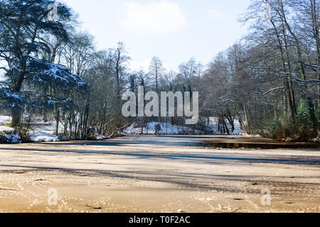 Gefroren und schneebedeckt im Winter von Bäumen umgeben, mit einem Morgen Sonne. Stockfoto