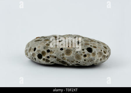 Makro Bild eines kleinen, grauen Strand Stein mit vielen Bohrungen Stockfoto