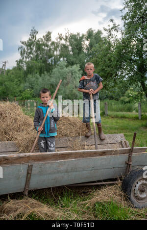 Litynia Dorf, Ukraine - Juni 02, 2018: Zwei kleine Jungen auf der retro Warenkorb. Arbeiten in der Nähe von Heu für die Tiere. Leben in einem Dorf Stockfoto