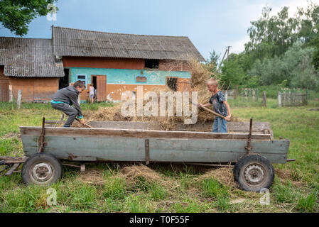 Litynia Dorf, Ukraine - Juni 02, 2018: zwei 10 Jahre alte Jungen in der Nähe von Heu arbeiten. Die Lager Heu für die Tiere. Leben in einem Dorf, Lifestyle Stockfoto