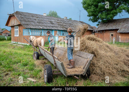 Litynia Dorf, Ukraine - Juni 02, 2018: zwei 10 Jahre alte Jungen in der Nähe von Heu arbeiten. Die Lager Heu für die Tiere. Leben in einem Dorf, Lifestyle Stockfoto