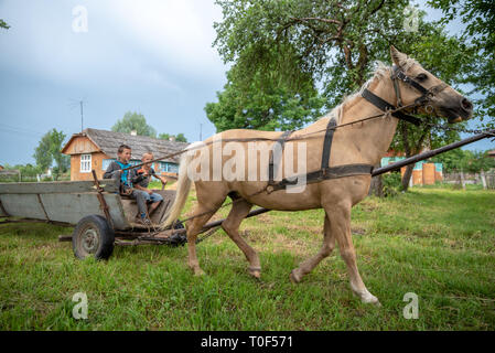 Litynia Dorf, Ukraine - Juni 02, 2018: Zwei junge Jungen reiten auf einem alten hölzernen Wagen. Leben in einem Dorf, Lifestyle Stockfoto