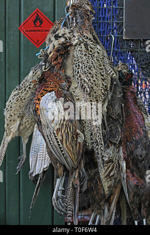 Federwild am Borough Market in London. Stockfoto