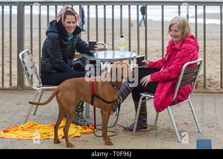 Bournemouth, Dorset, Großbritannien. 19. Mär 2019. UK Wetter: bewölkt und bedeckt mit etwas Nieselregen und einer kurzen Zauber der Sonnenschein in Bournemouth Strände, als Besucher venture zum Meer. Credit: Carolyn Jenkins/Alamy leben Nachrichten Stockfoto