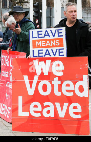 London, Großbritannien. 19. Mär 2019. Pro-Brexit Demonstranten protestieren außerhalb der Häuser des Parlaments. Credit: Dinendra Haria/Alamy leben Nachrichten Stockfoto