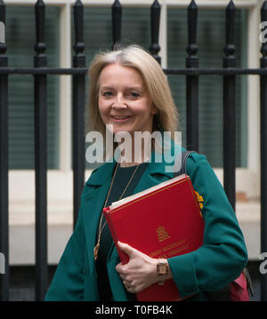 London, Großbritannien. März 2019. Elizabeth Truss, Chief Secretary to the Treasury in Downing Street für die wöchentliche Kabinettssitzung. Kredit: Malcolm Park/Alamy Live News. Stockfoto