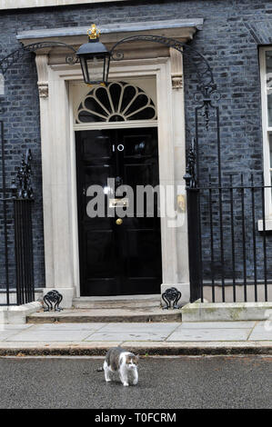 London, Großbritannien. 19. Mär 2019. Kabinettsmitglied Politiker verlassen, Downing Street. Credit: JOHNNY ARMSTEAD/Alamy leben Nachrichten Stockfoto