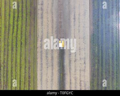 Peking, China. 18 Mär, 2019. Luftbild am 18. März 2019 zeigt eine landwirtschaftliche Maschinen, die auf einem Feld in Shuangfeng County, der Central China Hunan Provinz übernommen. Credit: Li Jianxin/Xinhua/Alamy leben Nachrichten Stockfoto