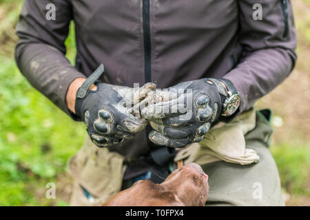 La Cav'o Truffes de la Champagne, 8 Route Nationale, Matougues, Frankreich Stockfoto