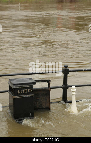 Fluss Severn in der Flut in Bewdley Stadtzentrum, Worcestershire, England, UK. Stockfoto