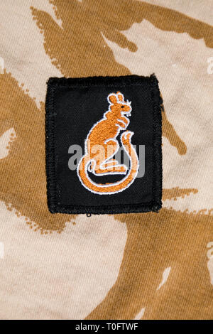 1990 Gulf war 7th Armoured Brigade 'Desert Rats' Abzeichen auf Wüste Tarnmuster Material Stockfoto