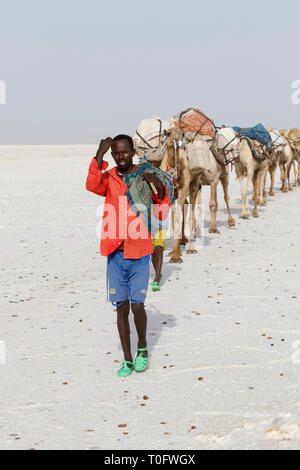 Danakil, Äthiopien, 22. Februar 2015: Ferne Männer führen ein Camel caravan Transport von Salz Blocks von der Danakil-wüste zum nächsten Ort Stockfoto