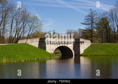 Sunny Spring Park urban. Wärmt im Park. Laub Blüten und das Gras ist grün. Russische Park. Mai. Stockfoto