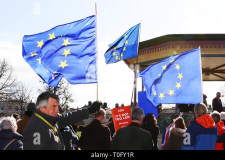 Anti Brexit Rallye in Cheltenham - Brexiteers Remainers chase maskiert durch die Stadt - 9.3.2019 Bild von Antony Thompson - tausend Wort Medien, KEINE Stockfoto