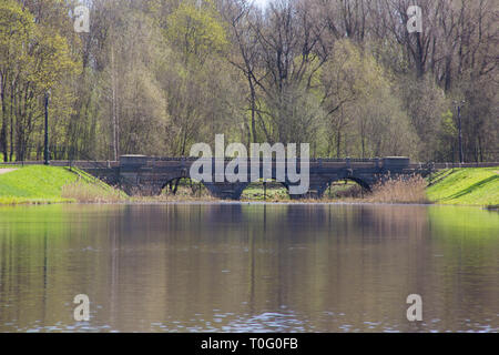 Sunny Spring Park urban. Wärmt im Park. Laub Blüten und das Gras ist grün. Russische Park. Mai. Stockfoto