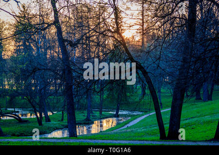 Sunny Spring Park urban. Wärmt im Park. Laub Blüten und das Gras ist grün. Russische Park. Mai. Stockfoto