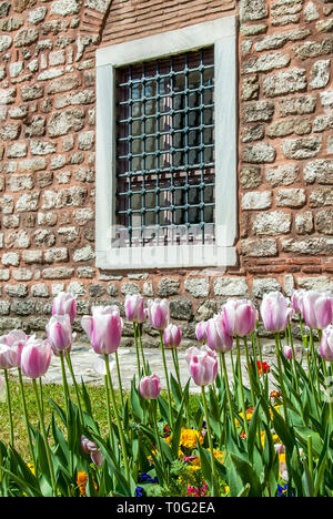 Istanbul, Türkei, 12. April 2007: Tulpen, Topkapi Palace Stockfoto