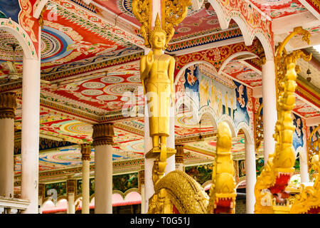 Atemberaubende Aussicht auf eine gold-bedeckten Buddha Statue vor der schönen und bunten Wat That Luang Tai in Vientiane, Laos. Stockfoto