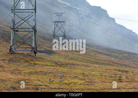 Longyearbyen - die nördlichste Siedlung der Welt. Svalbard, Norwegen Stockfoto