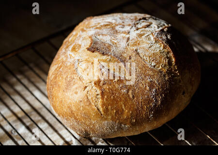 Frisch gebackenes Brot aus Sauerteig ruht auf einem Gitter. Hausgemachte backen Konzept. Artisan Brot mit goldenen knusprige Kruste. Stockfoto