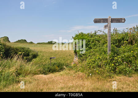 Fußweg finger Post auf der Klippe im Osten Quantoxhead auf den Bristol Channel coast Somerset UK. Teil der West Somerset und England Küste Pfade Stockfoto