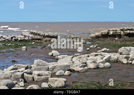 Die freiliegenden Simsen und Gesteinsschichten entlang der Küste auf den Bristol Channel Küste bei Kilve in Somerset UK bei Ebbe Stockfoto