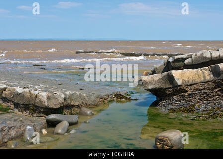 Die freiliegenden Simsen und Gesteinsschichten entlang der Küste auf den Bristol Channel Küste bei Kilve in Somerset UK bei Ebbe Stockfoto