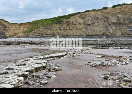 Die freiliegenden Simsen und Gesteinsschichten entlang der Küste auf den Bristol Channel Küste bei Kilve in Somerset UK bei Ebbe Stockfoto