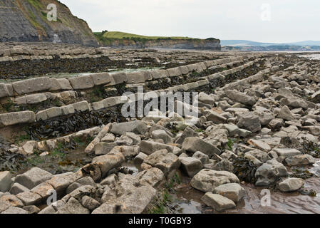 Die freiliegenden Simsen und Gesteinsschichten entlang der Küste auf den Bristol Channel Küste bei Kilve in Somerset UK bei Ebbe Stockfoto