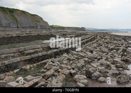 Die freiliegenden Simsen und Gesteinsschichten entlang der Küste auf den Bristol Channel Küste bei Kilve in Somerset UK bei Ebbe Stockfoto