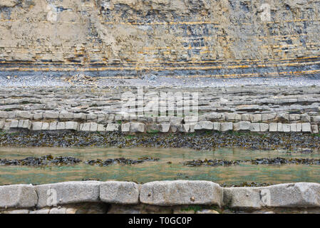 Die freiliegenden Simsen und Gesteinsschichten entlang der Küste auf den Bristol Channel Küste bei Kilve in Somerset UK bei Ebbe Stockfoto