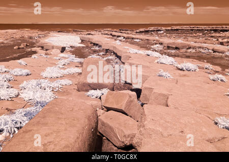 Infrarot Bild des freigelegten Gesteinsschichten entlang der Küste auf den Bristol Channel Küste bei Kilve in Somerset UK bei Ebbe Stockfoto