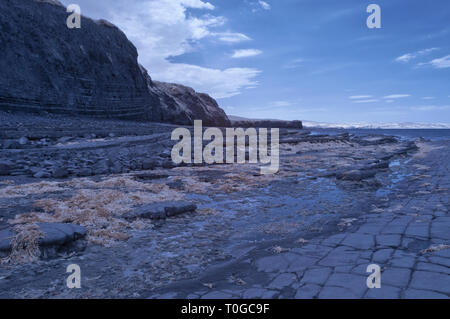 Infrarot Bild des freigelegten Gesteinsschichten entlang der Küste auf den Bristol Channel Küste bei Kilve in Somerset UK bei Ebbe Stockfoto