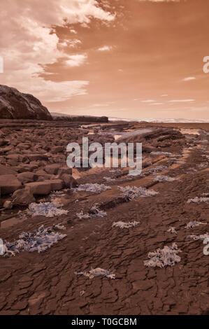 Infrarot Bild des freigelegten Gesteinsschichten entlang der Küste auf den Bristol Channel Küste bei Kilve in Somerset UK bei Ebbe Stockfoto