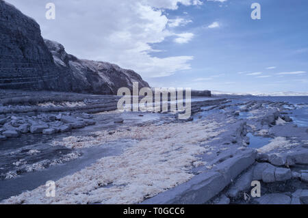 Infrarot Bild des freigelegten Gesteinsschichten entlang der Küste auf den Bristol Channel Küste bei Kilve in Somerset UK bei Ebbe Stockfoto