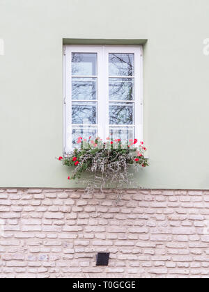 Typische europäische Fenster mit Blumen. Blumenkasten unter Windows auf einer Wohnung Gebäude Stockfoto