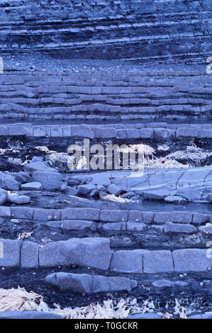 Infrarot Bild des freigelegten Gesteinsschichten entlang der Küste auf den Bristol Channel Küste bei Kilve in Somerset UK bei Ebbe Stockfoto