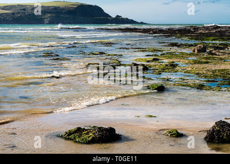 Daymer Bay Beach in North Cornwall bei Ebbe im hellen Sonnenlicht mit Algen und felsenpools. Stockfoto