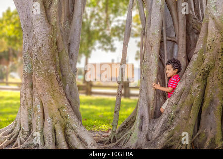 Der kleine Junge kommt aus dem Versteck mit einem Lächeln. Versteck spielen und im Park suchen, der kleine Junge versteckt sich im Banyan Tree große Wurzeln. Stockfoto