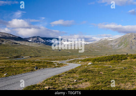 Norwegische fjaeldmark im Jotunheimen Nationalpark Stockfoto