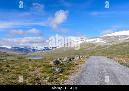 Norwegische fjaeldmark im Jotunheimen Nationalpark Stockfoto