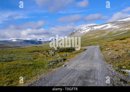 Norwegische fjaeldmark im Jotunheimen Nationalpark Stockfoto