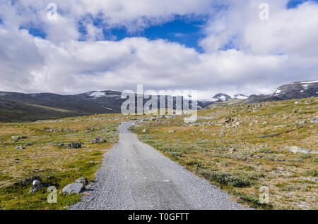 Norwegische fjaeldmark im Jotunheimen Nationalpark Stockfoto