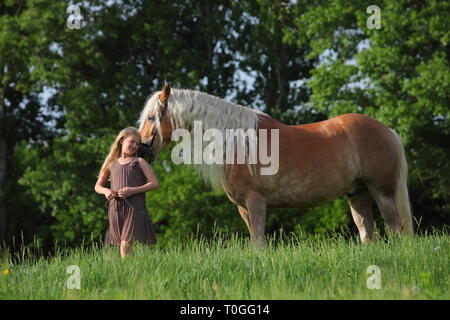 Michurinsk, Russland, 24. Mai 2018: Kind Mädchen und Tiroler Haflinger auf der offiziellen Generalprobe des Mitschurin landwirtschaftliche Ausstellung Stockfoto