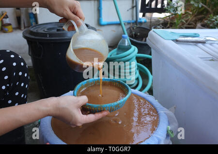 Drücken tamarind Wasser Zutaten für den Prozess der Herstellung indigo Dye, Thai natur Farbstoff Stockfoto