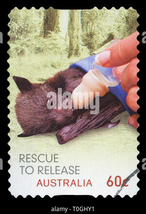 Australien - ca. 2010: einen Stempel in Australien gedruckten zeigt ein Koala Rettung zu lösen, circa 2010. Stockfoto