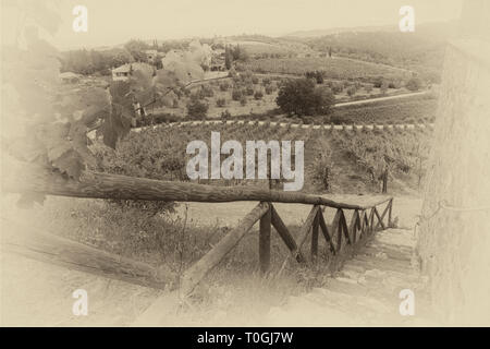 Ein Weingut in der Toskana, Italien. Stockfoto