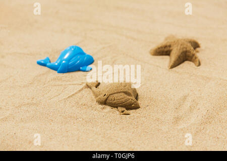 Sand Form von Wal Form gebildet auf Sommer Strand Stockfoto